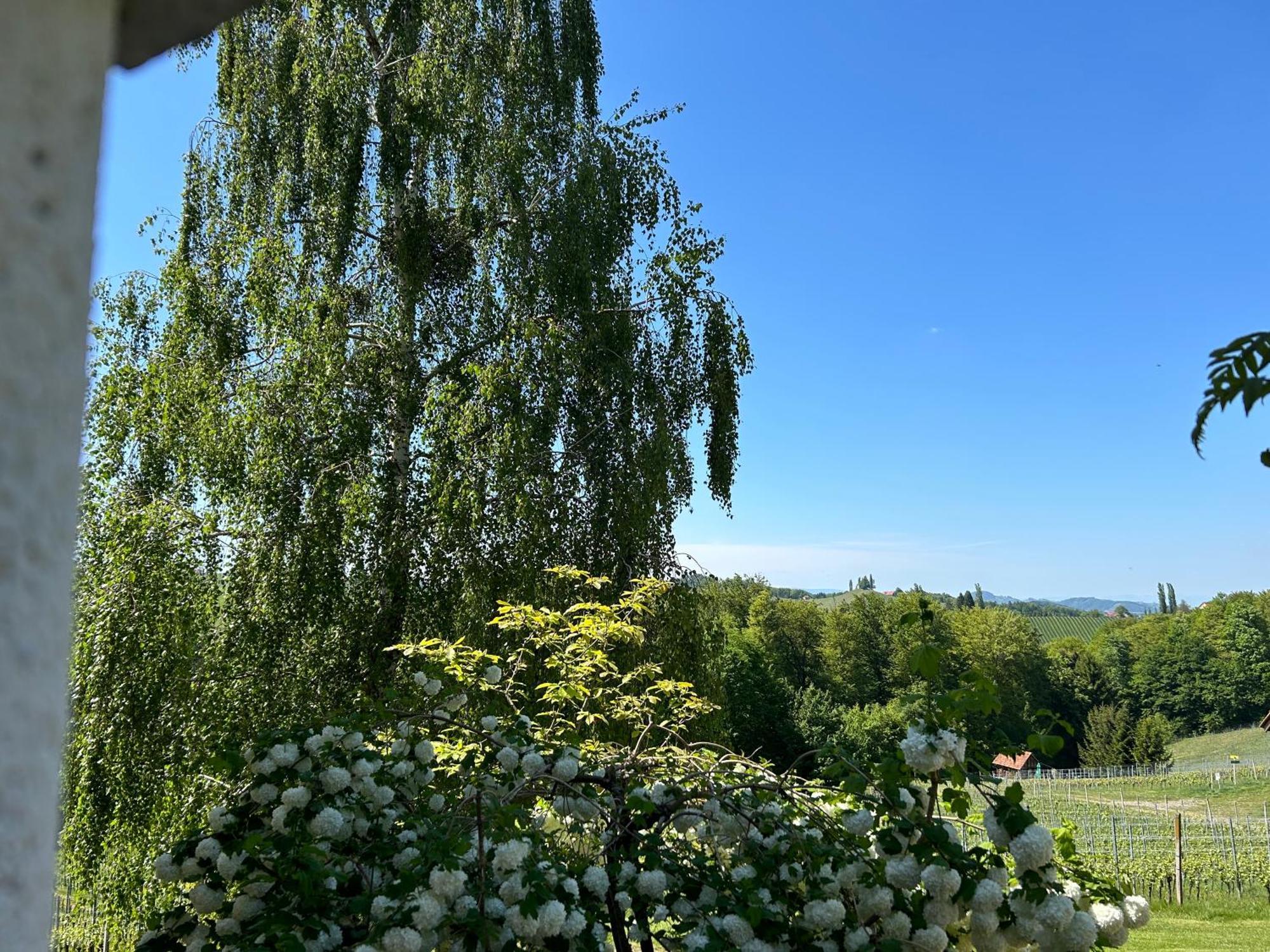 ホテル Haus-Eckberg 101 ガムリッツ エクステリア 写真