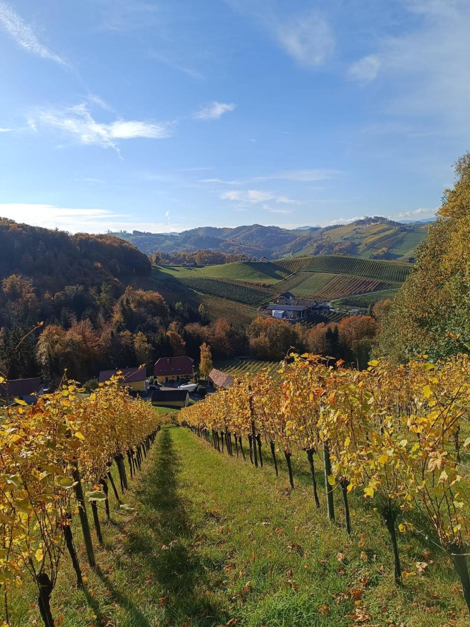 ホテル Haus-Eckberg 101 ガムリッツ エクステリア 写真